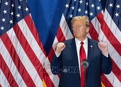 Bầu cử Mỹ: Ông Trump giành chiến thắng tại Virginia, North Carolina trong ngày 'Siêu Thứ Ba'