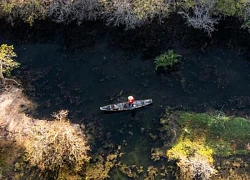 "Đổi màu" giữa mùa hè, khu rừng ngập mặn duy nhất ở Huế trở thành điểm đến của các gia đình