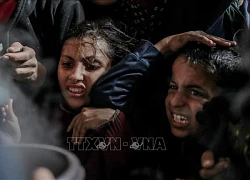 UNICEF: "Số trẻ em chết vì suy dinh dưỡng ở Gaza sẽ tăng vọt nếu không có lệnh ngừng bắn"