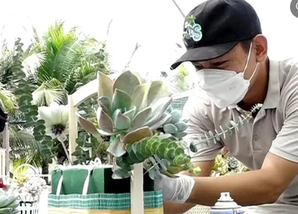 Độc đáo giỏ quà tặng từ sen đá