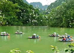 Khu du lịch sinh thái Thung Nham &#8211; nơi tổ chức sự kiện, kết nối thiên nhiên
