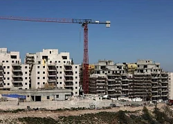 LHQ phản đối Israel mở rộng khu định cư tại các vùng lãnh thổ chiếm đóng của Palestine