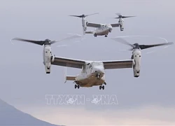 Máy bay đa nhiệm Osprey được phép trở lại bầu trời