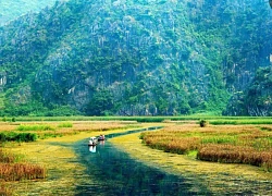 Về đầm Vân Long đắm mình vào khung cảnh hoang sơ nhưng yên bình, tĩnh lặng mà thư thái