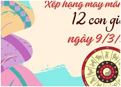 Xếp hạng may mắn của 12 con giáp ngày 9/3/2024: 1 ngày không mấy may mắn của 12 con giáp