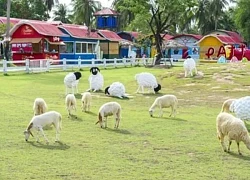 Du lịch Pattaya, đừng bỏ lỡ những điểm check-in này!