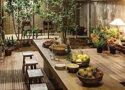 Gần gũi thiên nhiên với biophilic design