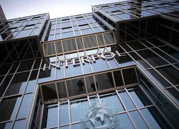 Interpol: Các băng đảng tại châu Mỹ mở rộng hoạt động sang lừa đảo trực tuyến