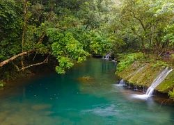 Khám phá thiên nhiên suối Chà Rào Chà Cùng