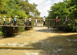 Tháng Ba lên Buôn Ma Thuột &#8220;săn&#8221; hoa cà phê