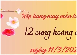 Tử vi vui 12 cung hoàng đạo ngày 11/3: Nhân Mã may mắn, Song Ngư khó khăn