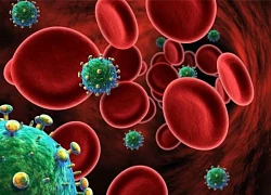 Tương lai 'xóa sổ' HIV đang đến gần?