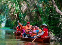 Điểm tham quan Khu bảo tồn sinh thái Đồng Tháp Mười: Giọt nắng tan phèn