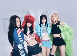 Doanh thu kênh Youtube của Jisoo (BLACKPINK) bao nhiêu mà quyên góp toàn bộ cho dự án rừng ngập mặn Cà Mau (Việt Nam)?