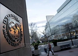 IMF bắt đầu quy trình tìm kiếm tổng giám đốc nhiệm kỳ tới