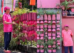 Người đàn ông U70 thực hiện ước mơ nhuộm hồng căn nhà