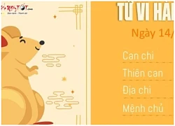 Tử vi thứ 5 ngày 14/3/2024 của 12 con giáp: Tỵ lắm mối tối nằm không, Tuất nên để muộn phiền trong quá khứ ngủ yên