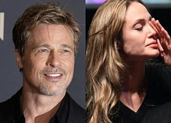 Angelina Jolie giành được quyền nuôi con, Pax Thiên được phép ở với Brad Pitt?