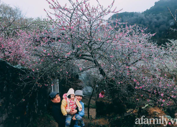 Băng giá bao trùm bản Lao Xa Hà Giang, tầm này lên đây ngắm đào muộn thì "hết nước chấm"!