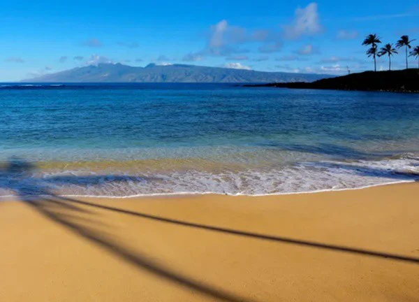 Có gì thú vị ở Hawaii?