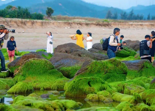 Đẹp ngỡ ngàng bãi rạn Nam Ô