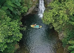 'Kho báu' dưới tán rừng nguyên sinh