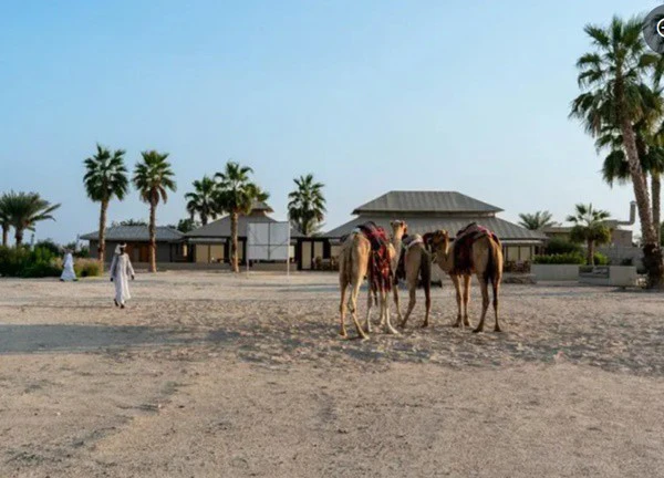 Khu cắm trại sang trọng The Outpost AI Barari: Phong cách Ai Cập giữa sa mạc Qatar