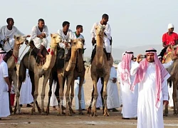 Saudi Arabia ghi nhận đóng góp kỷ lục của kinh tế phi dầu mỏ vào GDP