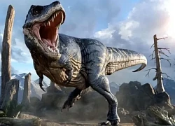 Tại sao khủng long ăn thịt Tyrannosaurus lại có chi trước nhỏ đến nực cười?