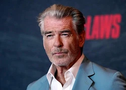 Tài tử Điệp viên 007 Pierce Brosnan nhận nộp phạt vì tham quan vùng cấm