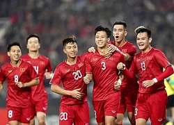 Tổng hợp 5 giải đấu lớn của bóng đá Việt Nam trong năm 2024