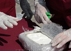 Bolivia: Thu giữ hơn 7,2 tấn cocaine đang được vận chuyển sang châu Âu