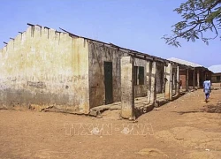 Các tay súng bắt cóc ít nhất 87 người ở bang Kaduna của Nigeria