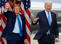 Hai ứng cử viên Joe Biden và Donald Trump chiến thắng tại Kansas và bang Illinois