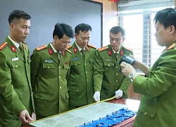 Săn "sói trắng" trong những ngày xuân