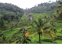 3 ngôi làng du lịch nổi tiếng của Indonesia