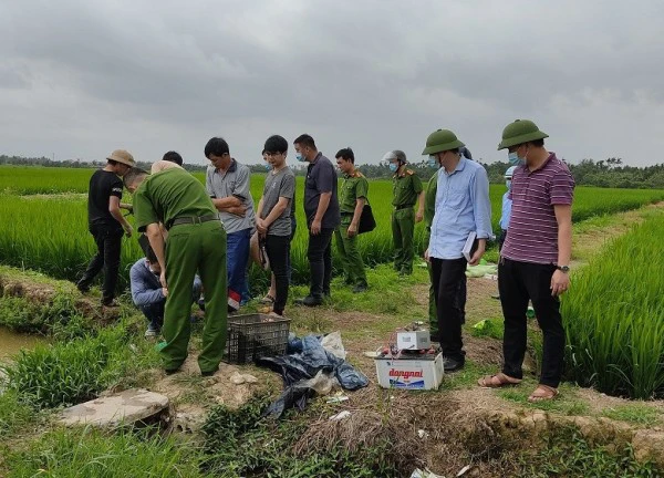 Bẫy chuột cắn phá lúa làm chết người