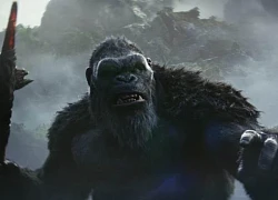 Những Titan nổi bật từng xuất hiện trong vũ trụ quái vật Monsterverse của Hollywood