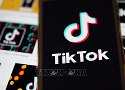 Thêm các nước xem xét những quan ngại liên quan đến TikTok