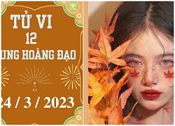 Tử vi vui 12 cung hoàng đạo ngày 24/3: Bọ Cạp chậm trễ, Bảo Bình phát triển