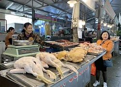 Mắc cúm A/H5N1 dễ tử vong, cảnh báo không ăn thịt gia cầm sống, săn bắt chim hoang dã