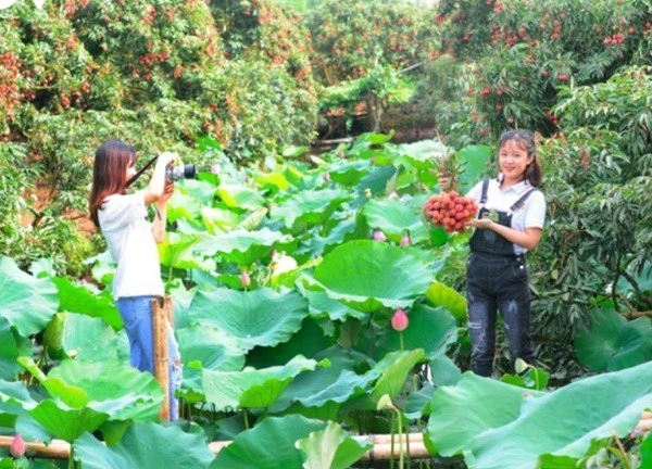 Về Thanh Hà trải nghiệm "miệt vườn xứ Đông"