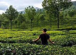 "Cõi thiên thai" Nuwara Eliya