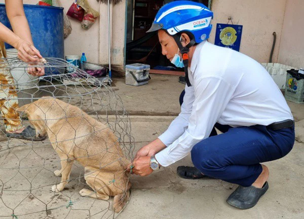 Quảng Bình triển khai đồng bộ các biện pháp phòng, chống bệnh dại