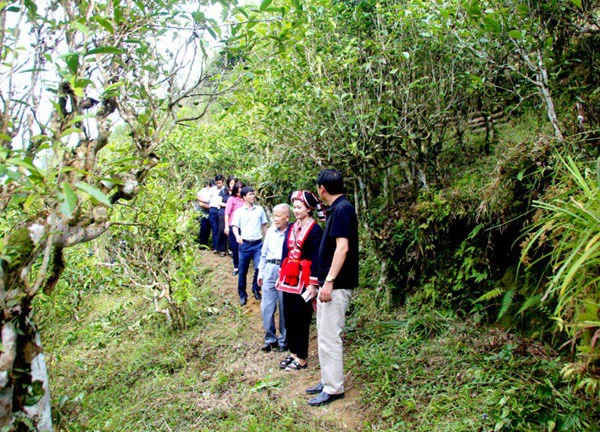 Hà Giang: Bảo tồn, phát huy bản sắc văn hóa trên vùng đất "Vỏ cây vàng" Hoàng Su Phì