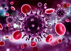 HIV: Nguyên nhân, biểu hiện, đường lây truyền, cách điều trị và phòng bệnh