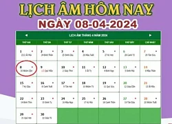 Lịch âm 8/4 - Âm lịch hôm nay 8/4 chính xác nhất - lịch vạn niên 8/4/2024