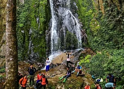 Ngắm nhìn khu rừng nguyên sinh đẹp như cổ tích trên đỉnh núi mới ở Tà Xùa