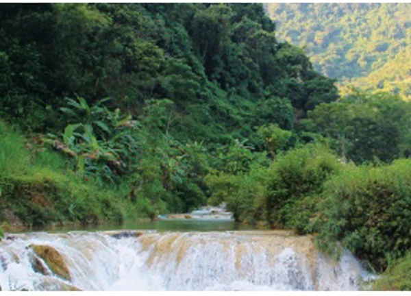 Sa Pa tỉnh Thanh