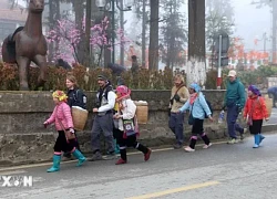 Việt Nam là điểm đến thú vị và an toàn đối với người dân Canada